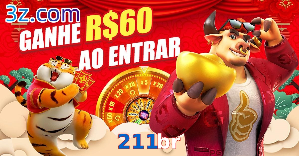 211br